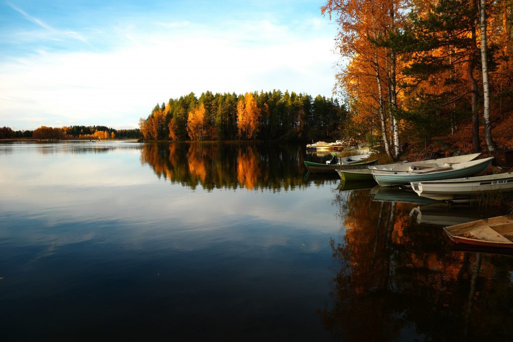 järvi
