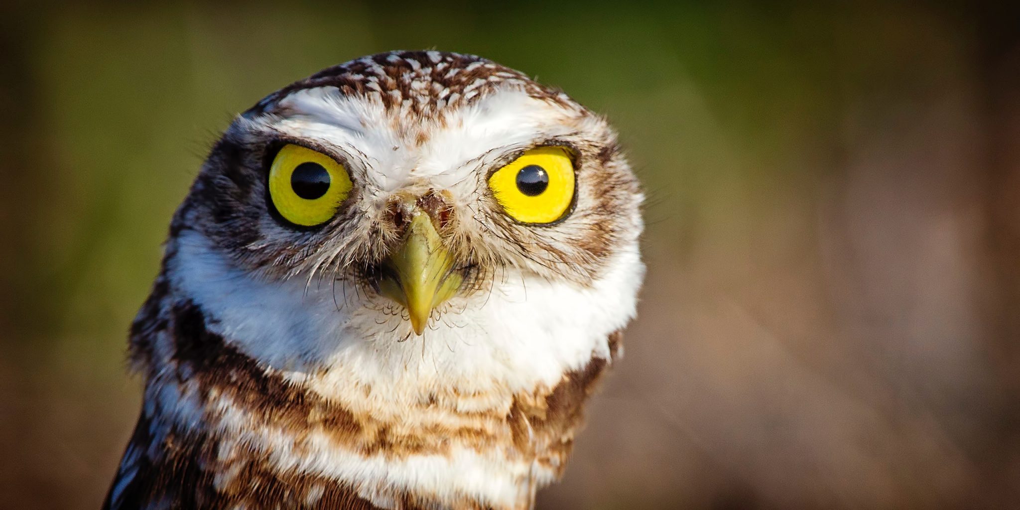 philip-brown-542189-unsplash philip-brown-542189-unsplash